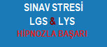 SINAV STRES